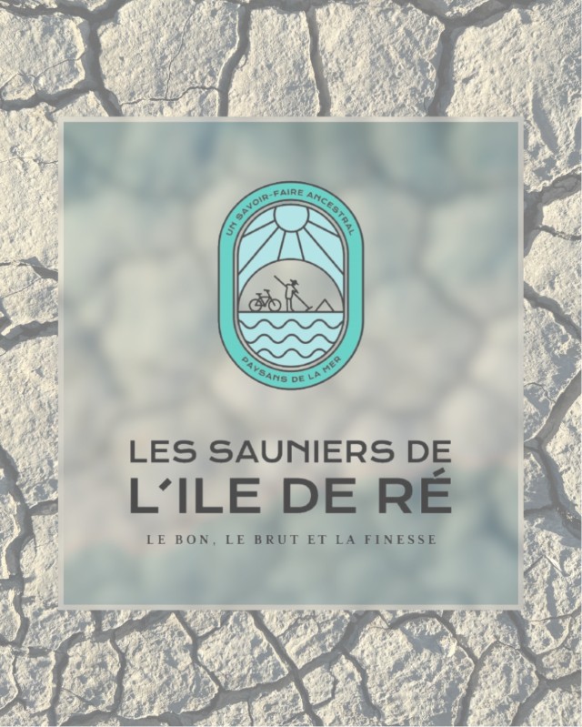 Découvrez notre nouveau logo et notre nouvelle baseline : Le Bon, Le Brut et La Finesse