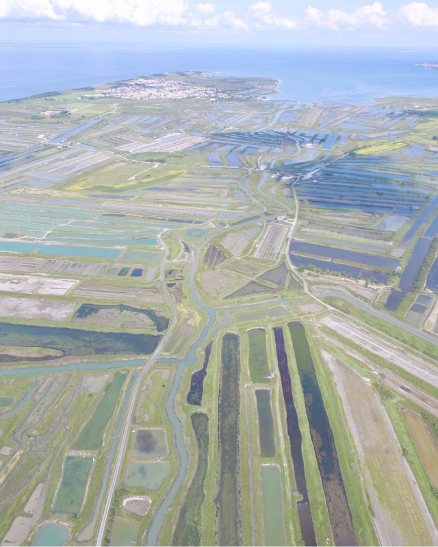 Les Marais Salants : Voyage au Cœur du Cycle du Sel